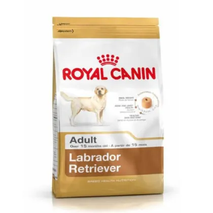 ROYAL CANIN RAZA LABRADOR RETRIEVER ADULTO X 12KG