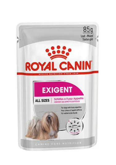 ROYAL CANIN POUCH DOG EXIGENT