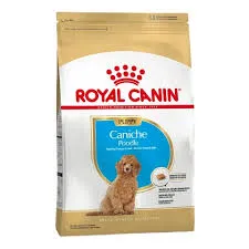 ROYAL CANIN RAZA POODLE JR x1kg