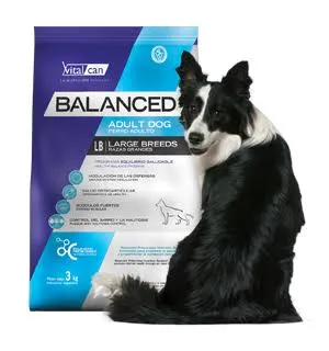 VITAL CAN BALANCED DOG RAZA GRANDE x20KG