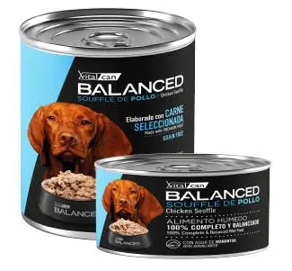 VITAL CAN BALANCED LATA SOUFFLE PERRO ADULTO POLLO