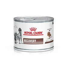 ROYAL CANIN LATA RECOVERY UNIDAD